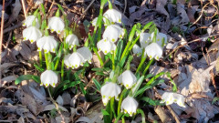 12.02.22 Märzenbecher