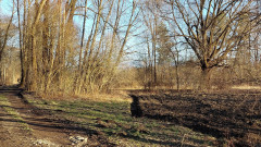 12.02.22 Märzenbecher