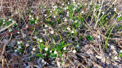 12.02.22 Märzenbecher