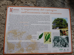 Oggiogno (5)