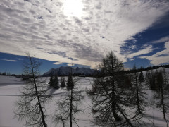 Tauplitzalm Winter