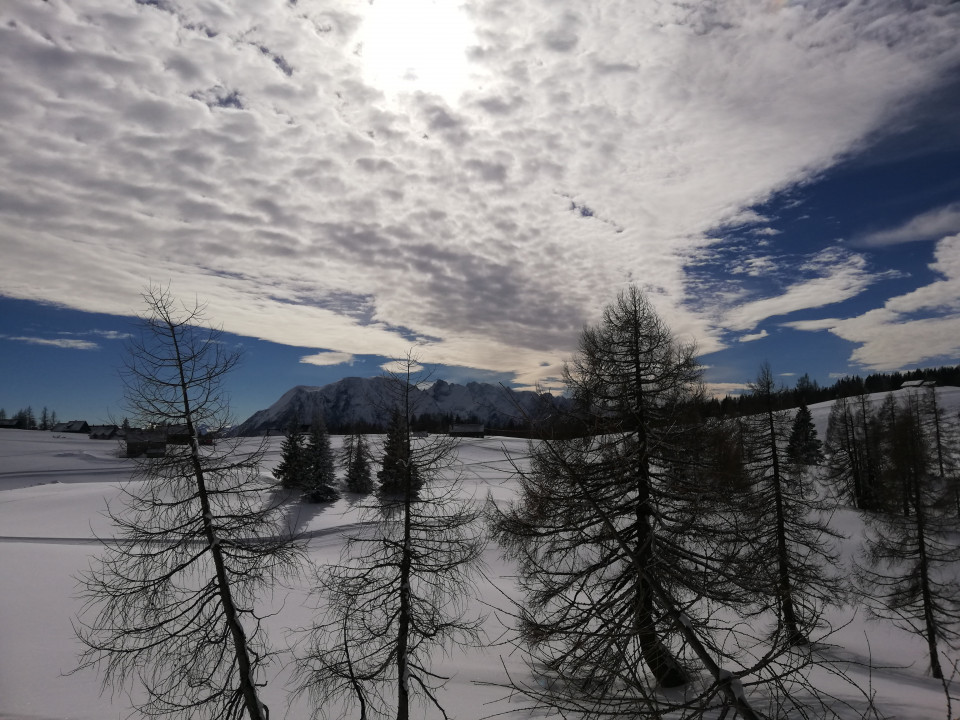 Tauplitzalm Winter