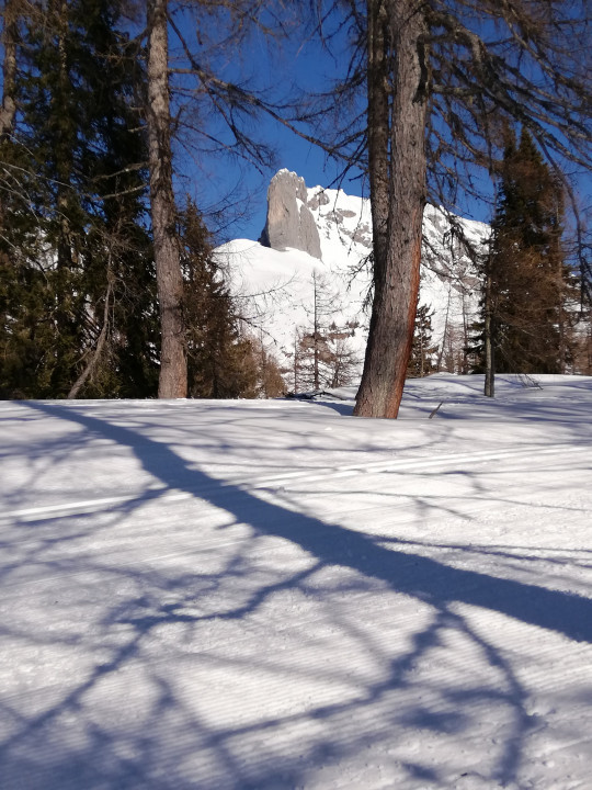 Tauplitzalm Winter