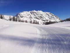 Tauplitzalm Winter