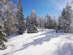 Tauplitzalm Winter