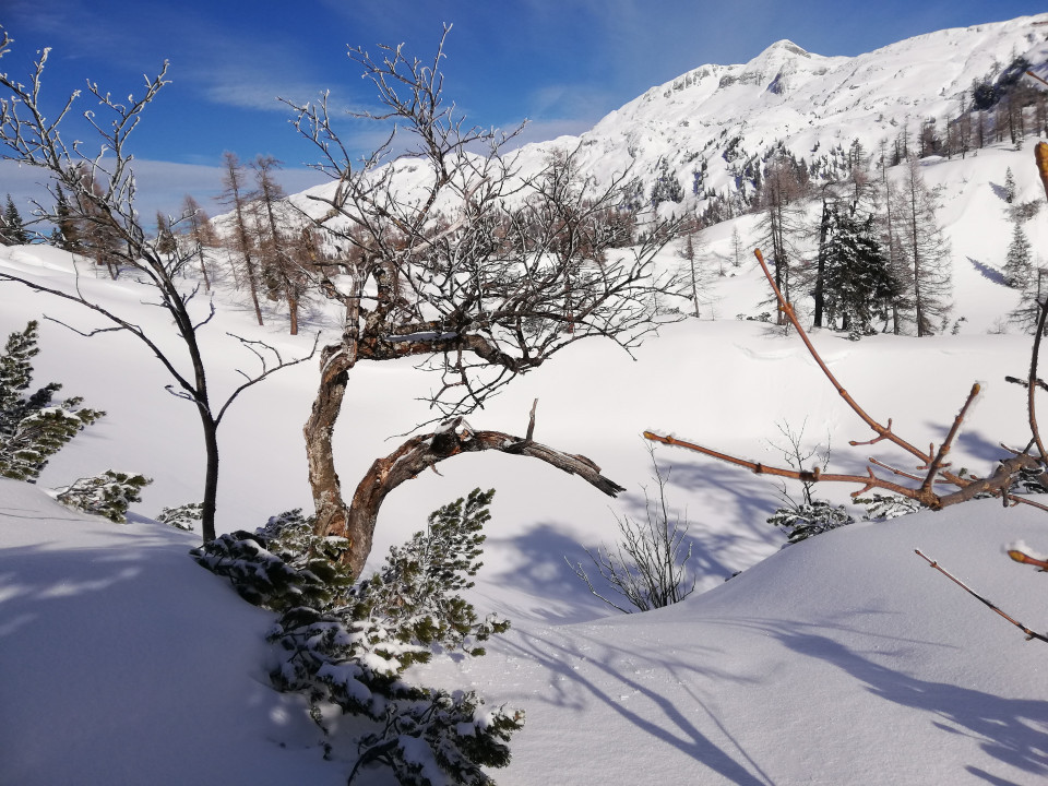 Tauplitzalm Winter