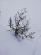 Tauplitzalm Winter
