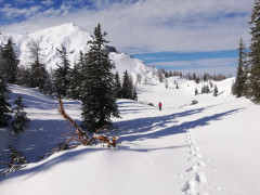 Tauplitzalm Winter