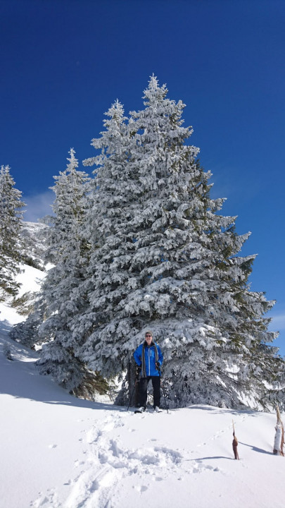 Tauplitzalm Winter