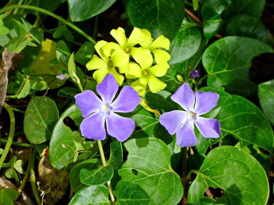 Frühling