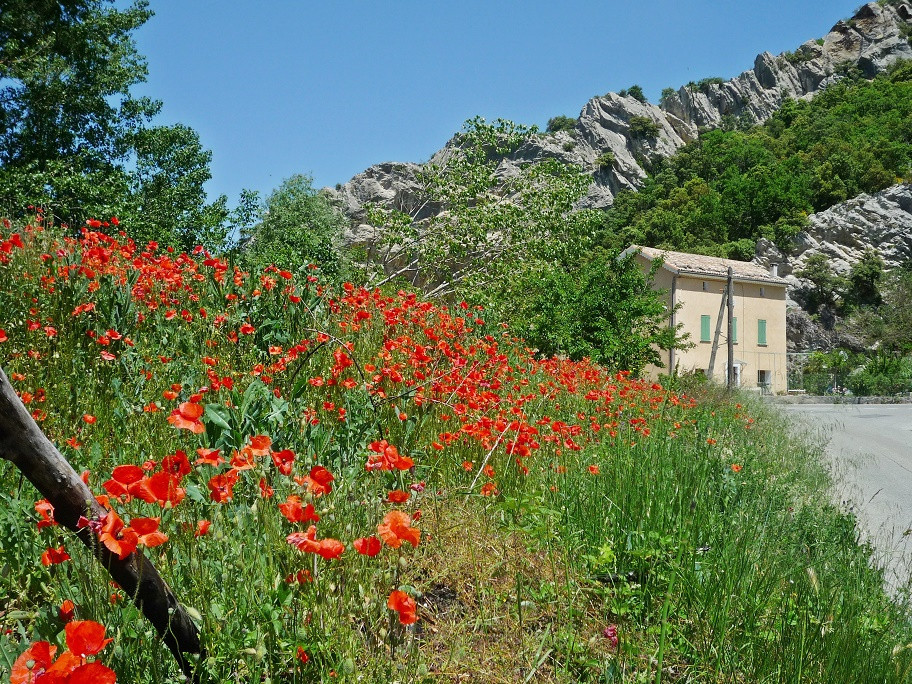Der Mont Ventoux