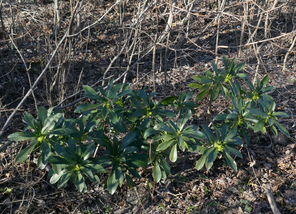 P1020506