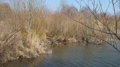 Höglinger Weiher