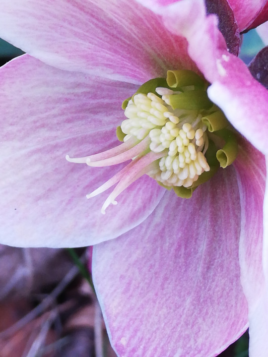 Frühling