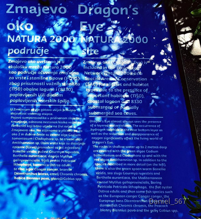 35_Rogoznica