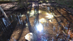 Deifi ria di Seehamer See