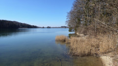 Deifi ria di Seehamer See