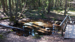 Seehamer See (16)