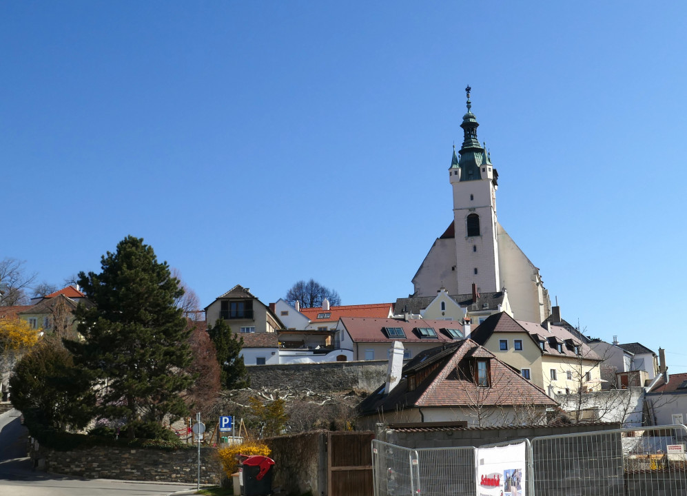 Wachau 2022 Mandelblüte usw