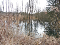 Wertach Bingstetter See