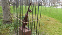 Hase Bad Aibling