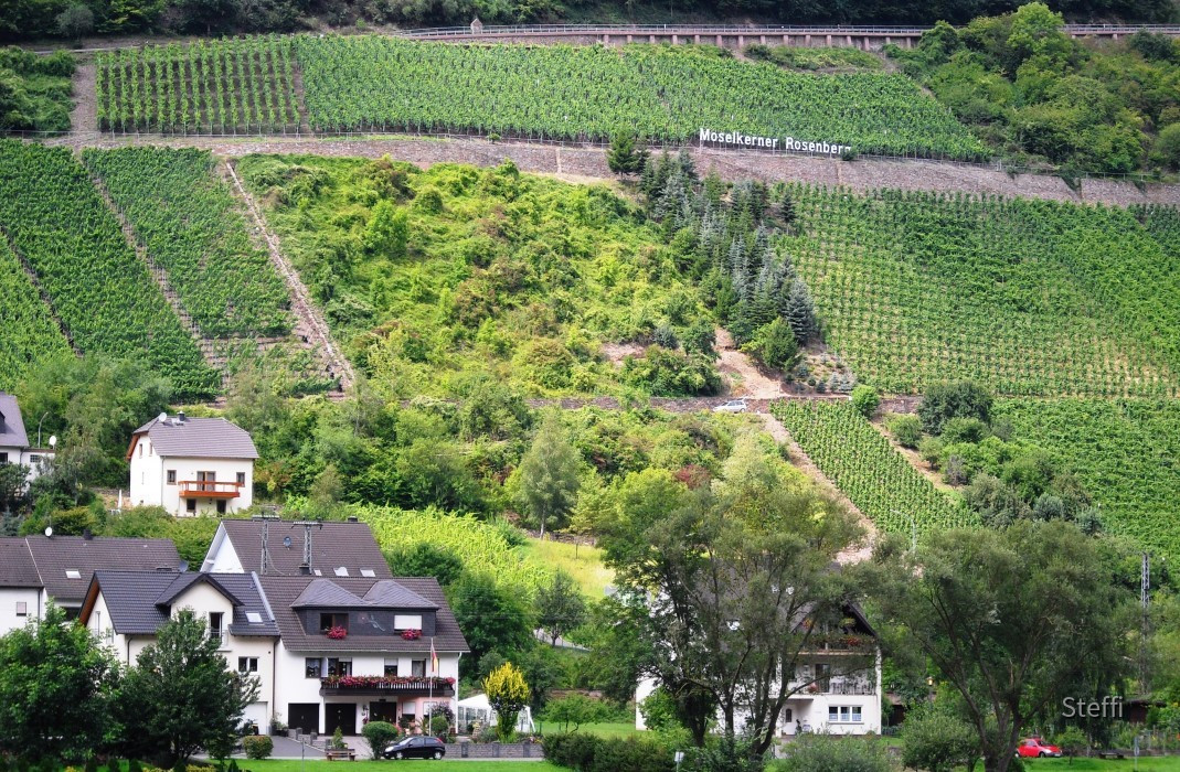 Ein paar Impressionen von der Untermosel im August 2010