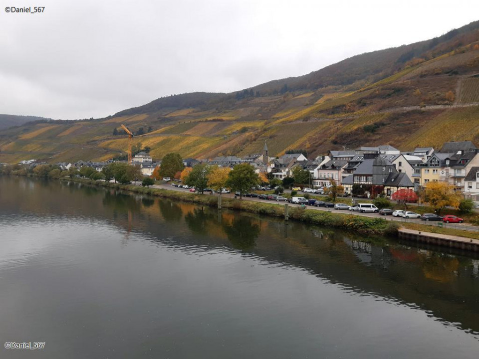 50_Zell Mosel