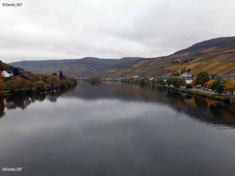 51_Zell Mosel
