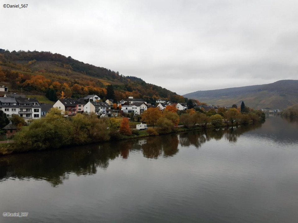52_Zell Mosel