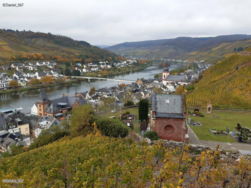 70_Zell Mosel
