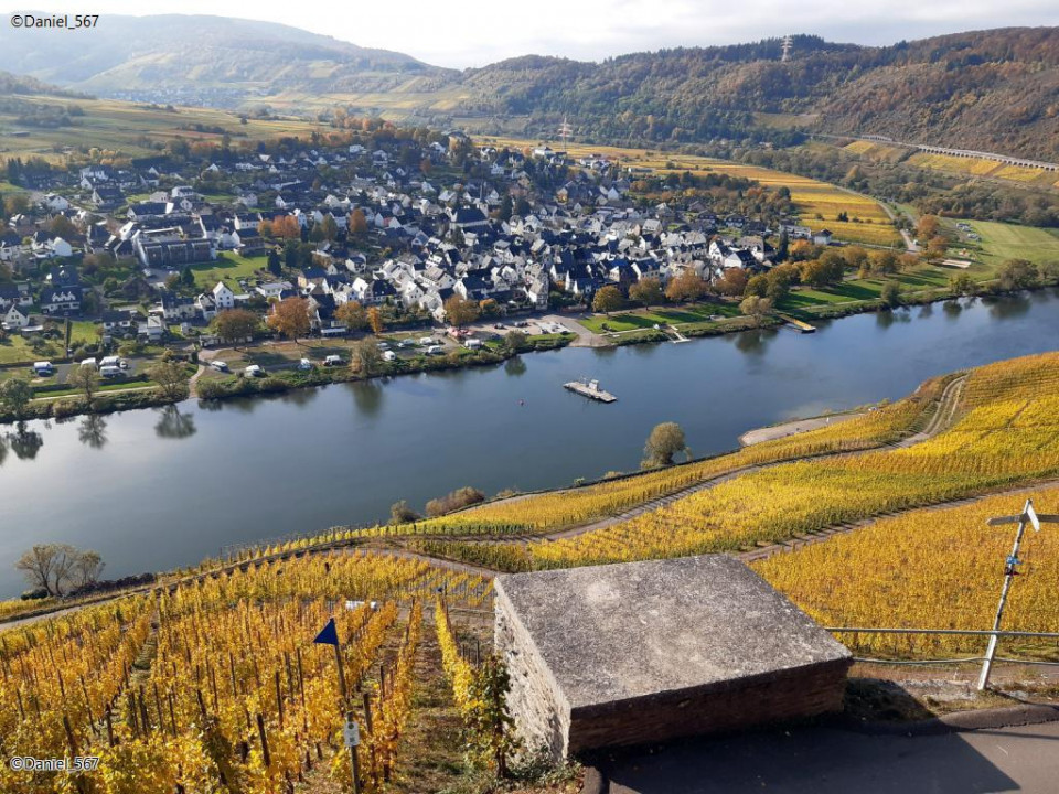 96_Zell Mosel