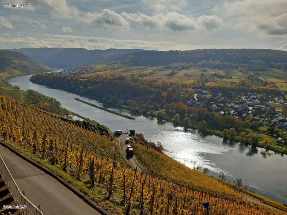 97_Zell Mosel