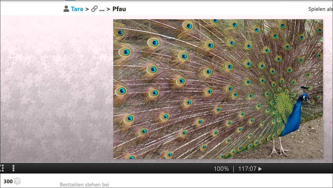 ?random=0&maxWidth=0&embedded=0#imageAnker_63658