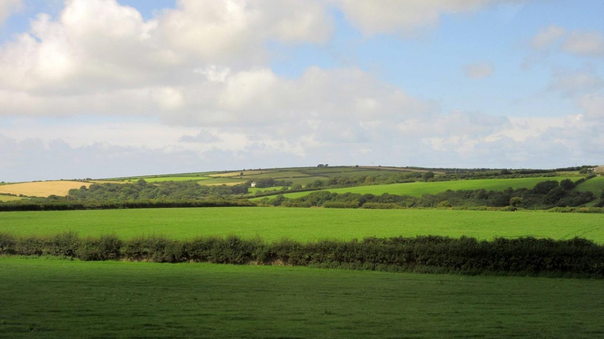 Wales_41
