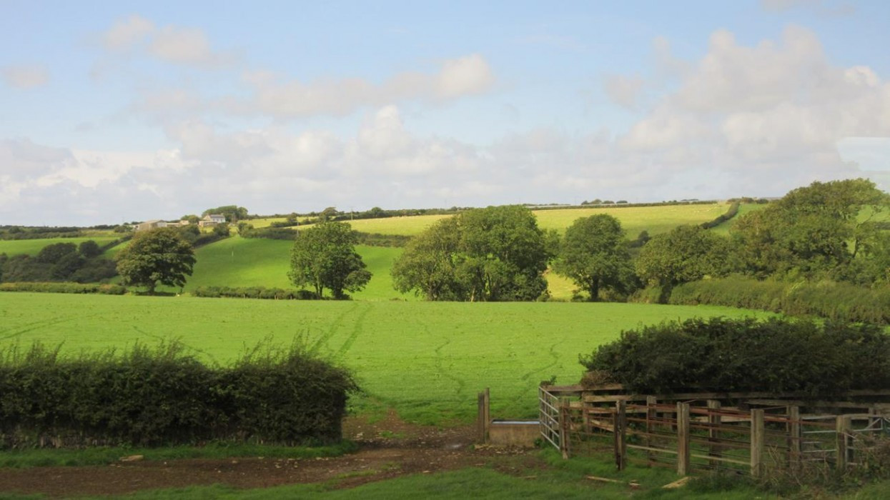 Wales_42