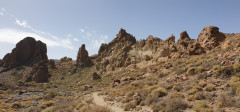 2021-09-10 13.15.11