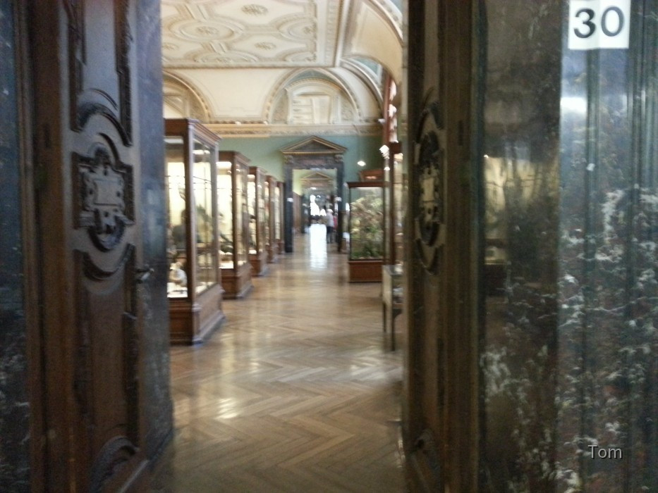 Naturhistorisches Museum