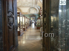 Naturhistorisches Museum