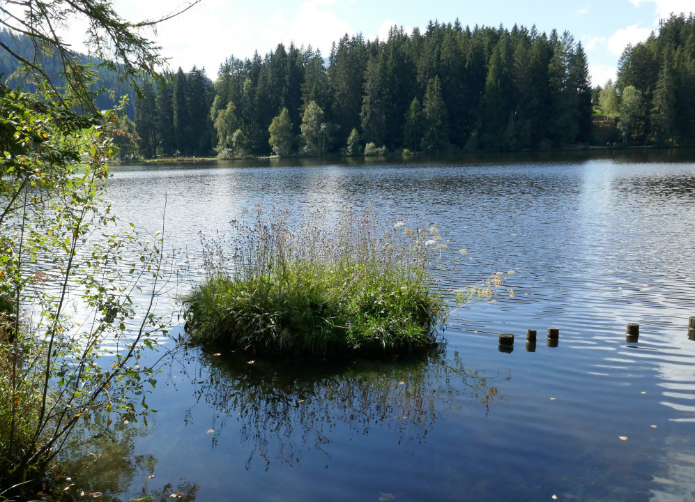 Schwarzsee bei Kitzbühel