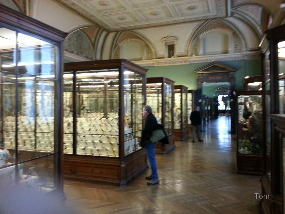Naturhistorisches Museum