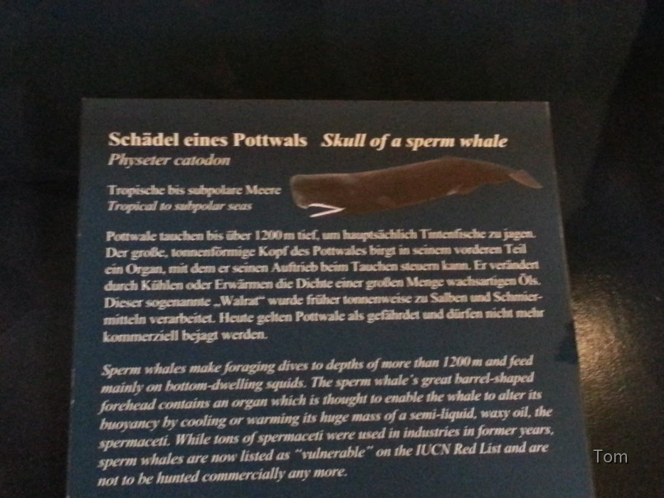 Naturhistorisches Museum