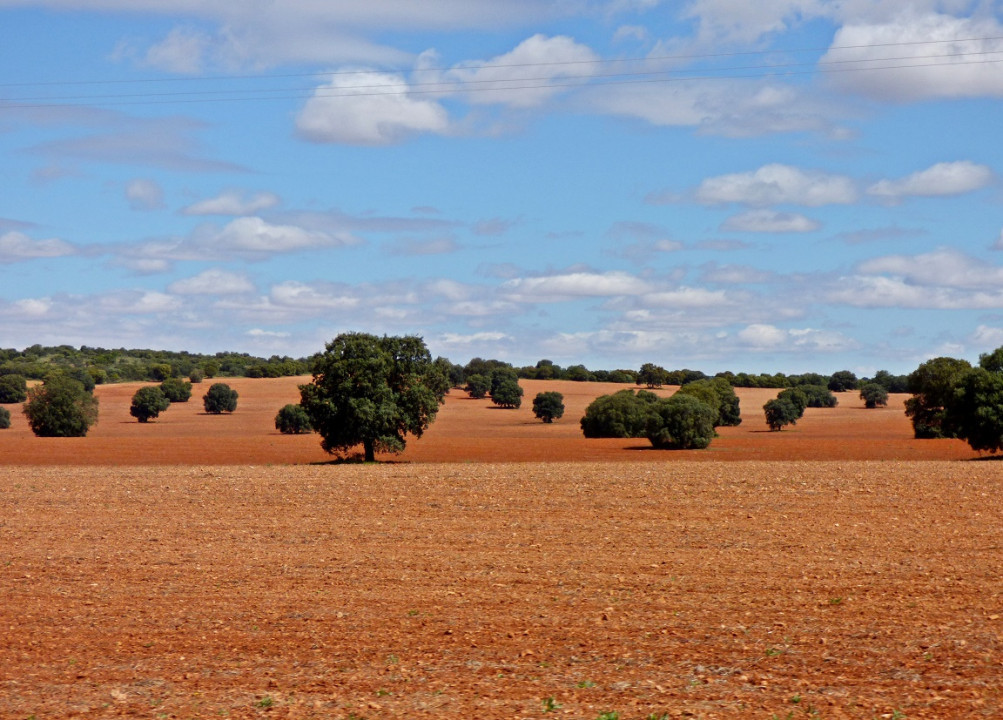 Kastilien - La Mancha