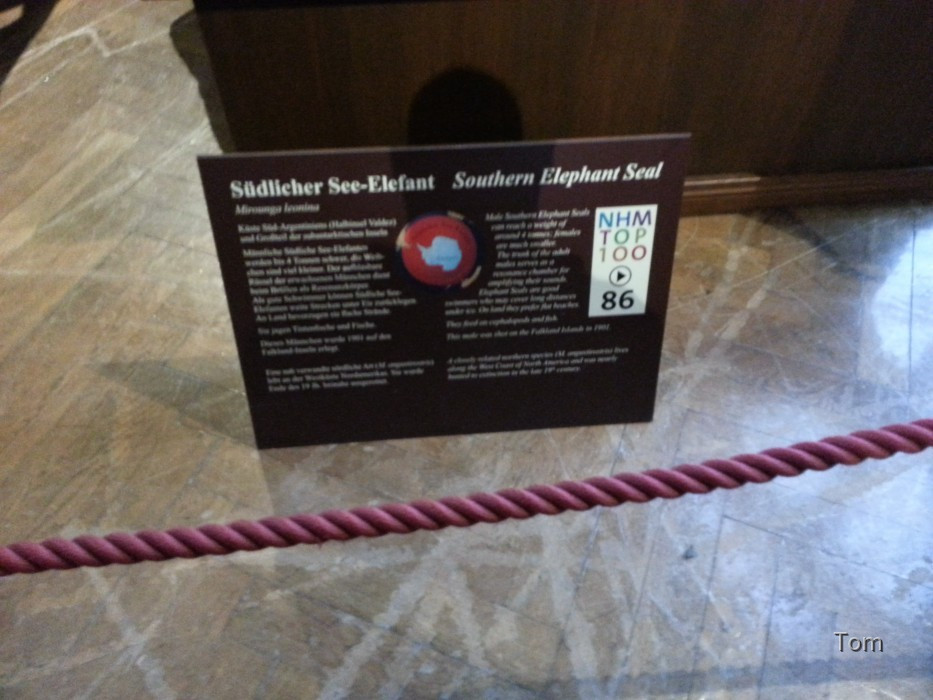 Naturhistorisches Museum