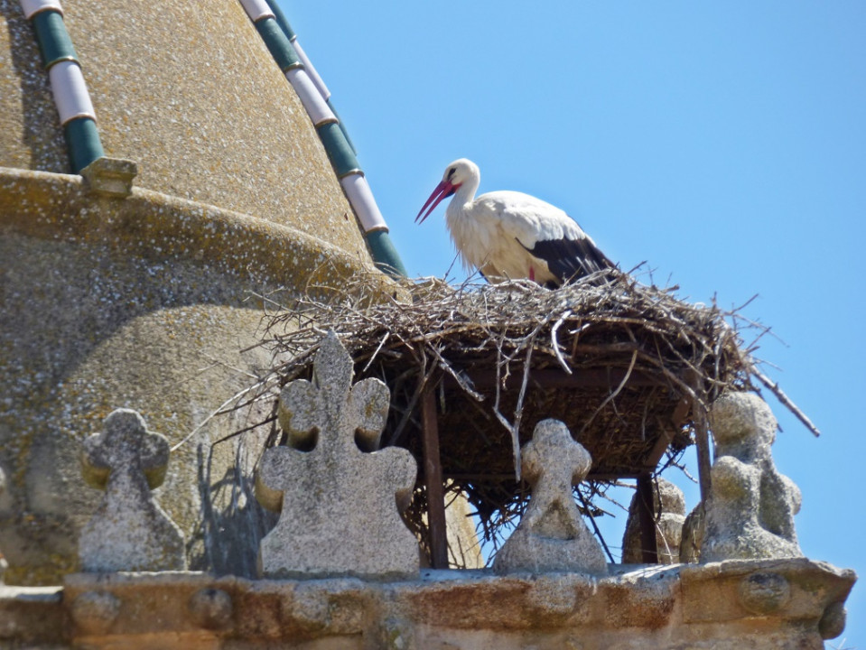Extremadura Mai 2018 - Tag 2 Trujillo und Cáceres