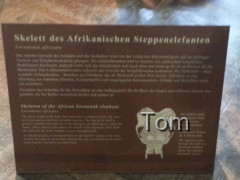 Naturhistorisches Museum