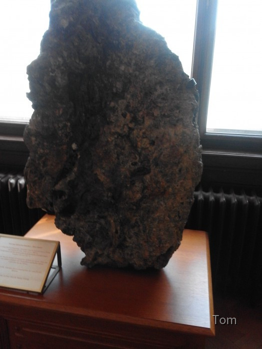 Naturhistorisches Museum