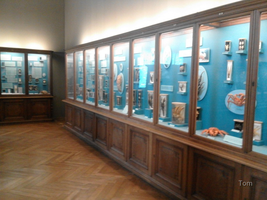 Naturhistorisches Museum