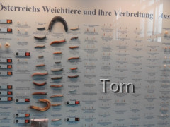 Naturhistorisches Museum