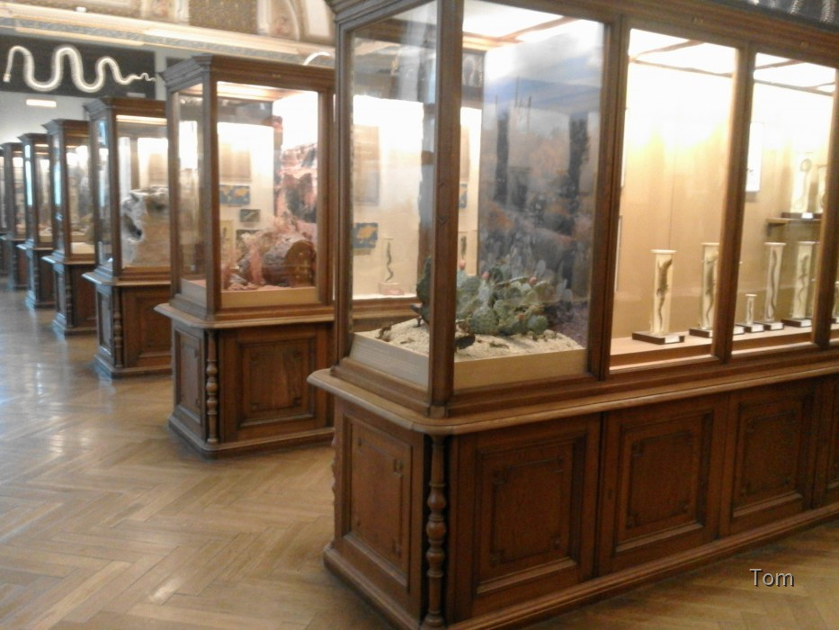 Naturhistorisches Museum