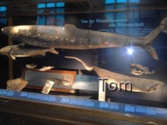 Naturhistorisches Museum